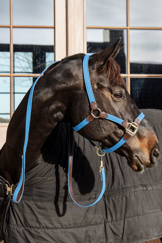 Geflochtenes Lederführstrick Hellblau