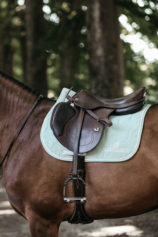 Color Edition springunderlag