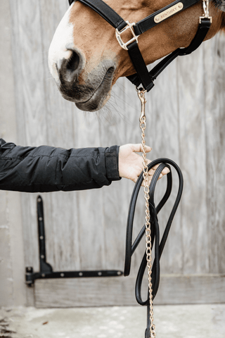 Kentucky Horsewear Läder Kedjegrimskaft