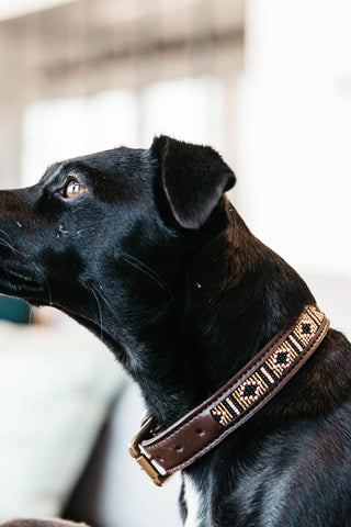Parel Hondenhalsband