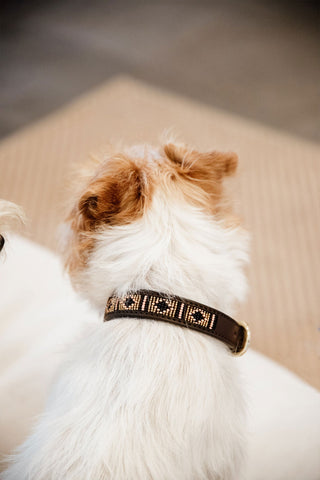 Parel Hondenhalsband