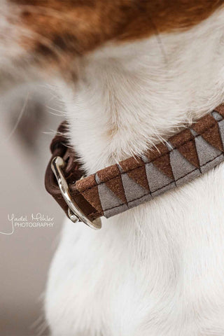 Triangel Hundhalsband