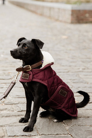 Original Hundtäcke 160g