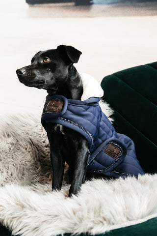 Perler Hundedækken 160g