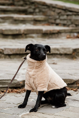 Hundtröja Teddy Fleece