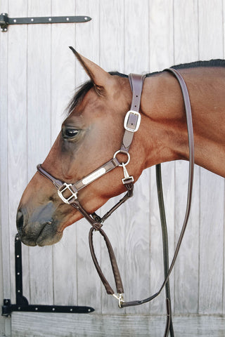 Kedjegrimskaft Läder Brun