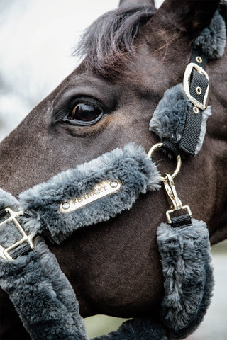 Kantar z Owczą Skórą Szary