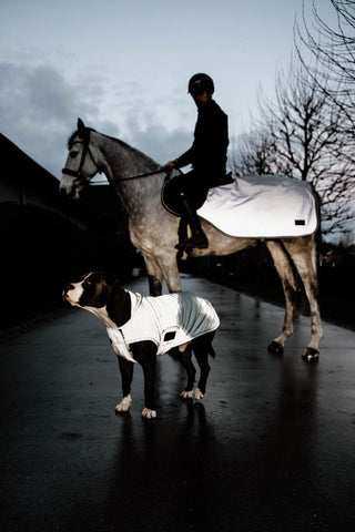 Odblaskowa derka jeździecka