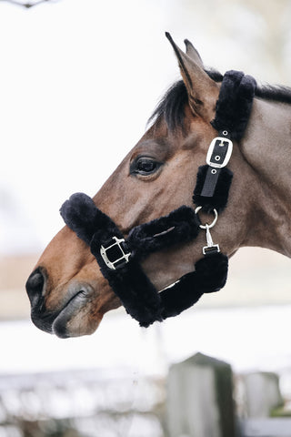 Schapenvacht Halster Zwart