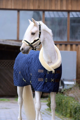 Couverture de présentation 160g marine