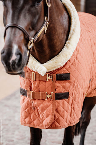 Couverture de présentation 160g marine