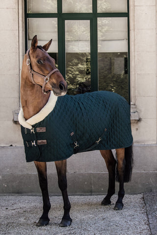 Couverture de présentation 160g marine