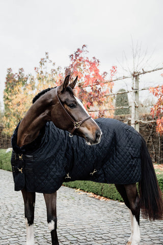 Couverture de présentation 160g marine