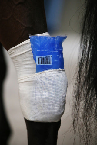 Skarpeta Tendon Grip