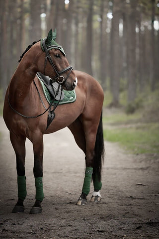 Lami-cell Dressyrschabrak Venus