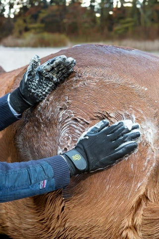 Lemieux HandsOn Handskar