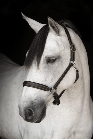 Lippo Basic Lädergrimma