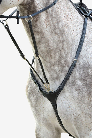 Lippo Förbygel Fazzino med Martingal