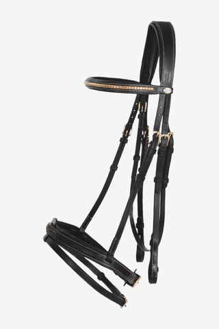 Lippo Träns Preston Fancy