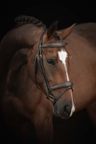 Supreme Fancy hoofdstel