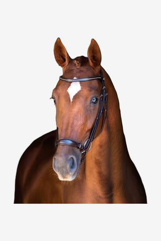 Schockemöhle Copenhagen Remontträns