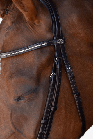 Schockemöhle Copenhagen Remontträns