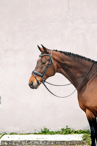 Schockemöhle Malibu Träns