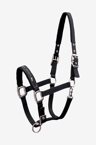 Schockemöhle Memphis Grimma