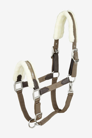 Schockemöhle Memphis Grimma Ludd