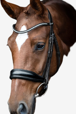 Schockemöhle Träns Slimford