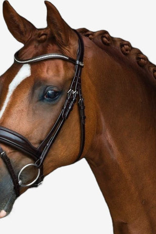 Schockemöhle Träns Stanford