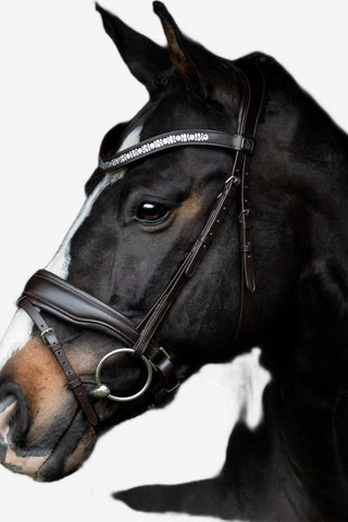 SD Design Danciero Träns