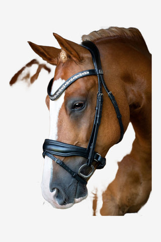 SD Design Danciero Träns