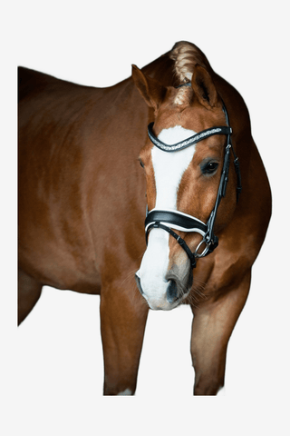 SD Design Danciero Träns