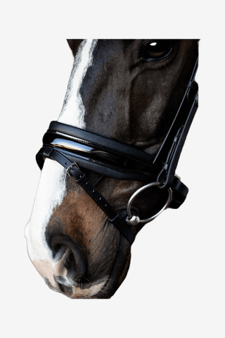 SD Design Kombinerad Nosgrimma Pullback