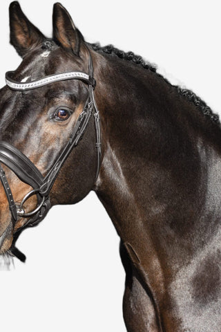 SD Design Night Noir Träns