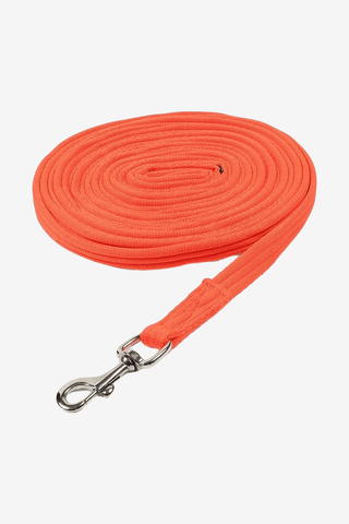 Shires Wessex Longerlina