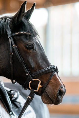 Dynamic 2-delt bridongbid