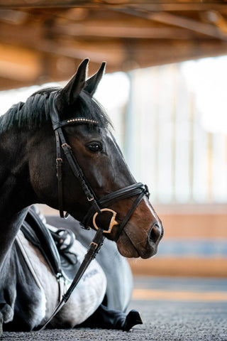 Sprenger Dynamic 3-Delat Eggbett