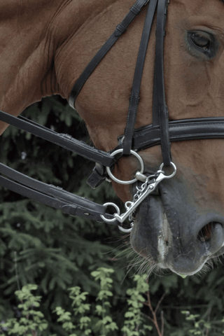 Novocontact 2-delt Bridong bid