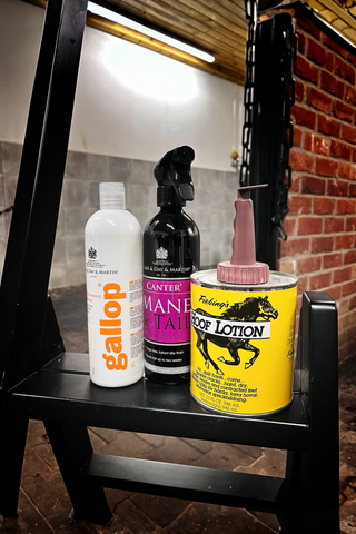 Svensk Ridsport Robins Grooming Tips 1