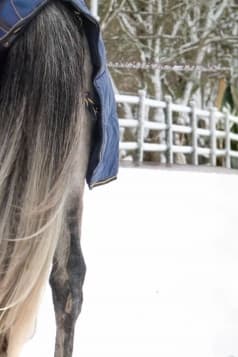 Svensk Ridsport Stalltäcke 400g