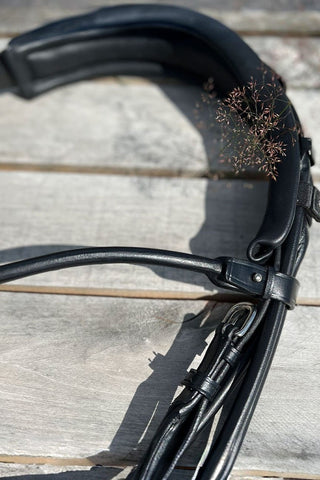 Utzon Equestrian Kandar Edinburgh