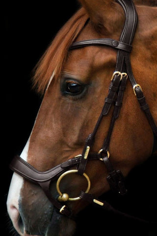 Utzon Equestrian Träns Bristol