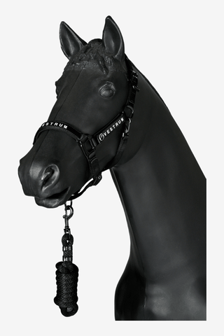 Vestrum Locri Grimma + Grimskaft