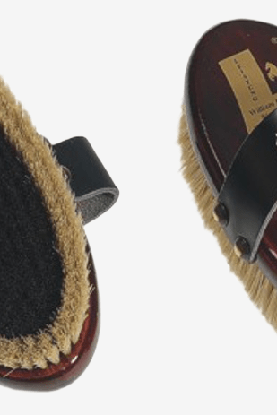 William Leistner Ryktborste Beauty