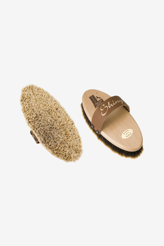 William Leistner Ryktborste Shiny